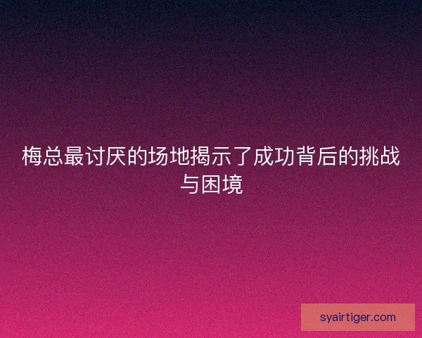 梅总最讨厌的场地揭示了成功背后的挑战与困境