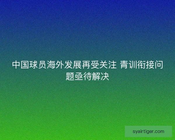 中国球员海外发展再受关注 青训衔接问题亟待解决