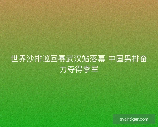 世界沙排巡回赛武汉站落幕 中国男排奋力夺得季军
