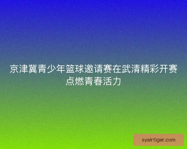京津冀青少年篮球邀请赛在武清精彩开赛点燃青春活力